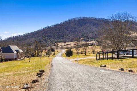 Tiny photo for 34 Mountain Shores Drive, New Tazewell, TN 37825 (MLS # 1329106)