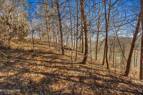 Tiny photo for 34 Mountain Shores Drive, New Tazewell, TN 37825 (MLS # 1329106)