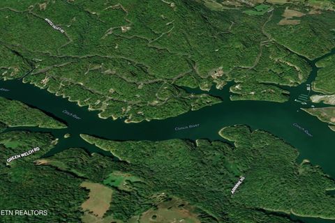 Tiny photo for 34 Mountain Shores Drive, New Tazewell, TN 37825 (MLS # 1329106)