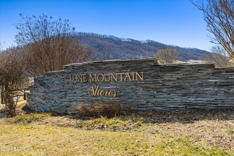 Tiny photo for 34 Mountain Shores Drive, New Tazewell, TN 37825 (MLS # 1329106)