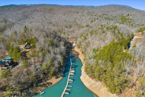 Tiny photo for 34 Mountain Shores Drive, New Tazewell, TN 37825 (MLS # 1329106)