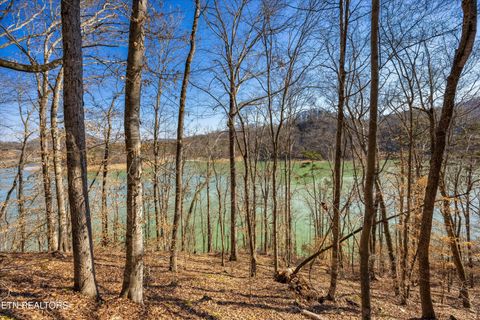 Tiny photo for 34 Mountain Shores Drive, New Tazewell, TN 37825 (MLS # 1329106)