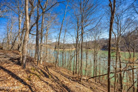 Tiny photo for 34 Mountain Shores Drive, New Tazewell, TN 37825 (MLS # 1329106)
