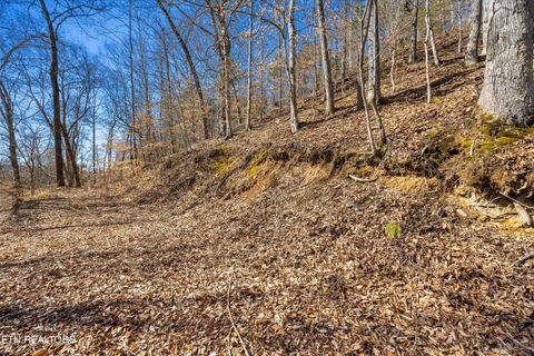 Tiny photo for 34 Mountain Shores Drive, New Tazewell, TN 37825 (MLS # 1329106)