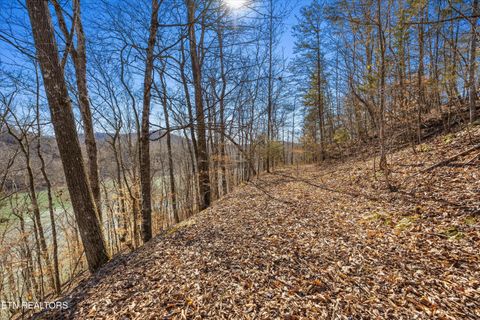 Tiny photo for 34 Mountain Shores Drive, New Tazewell, TN 37825 (MLS # 1329106)