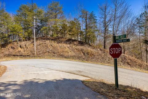 Tiny photo for 34 Mountain Shores Drive, New Tazewell, TN 37825 (MLS # 1329106)