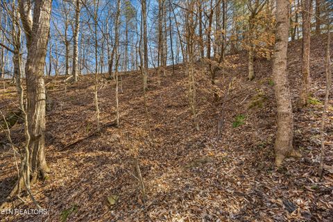 Tiny photo for 34 Mountain Shores Drive, New Tazewell, TN 37825 (MLS # 1329106)