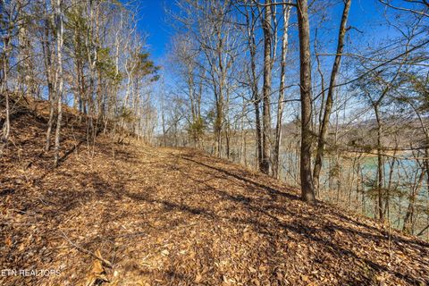Tiny photo for 34 Mountain Shores Drive, New Tazewell, TN 37825 (MLS # 1329106)