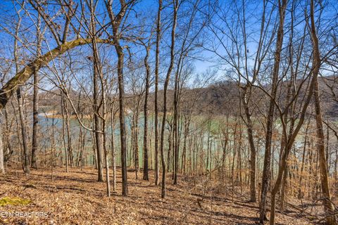 Tiny photo for 34 Mountain Shores Drive, New Tazewell, TN 37825 (MLS # 1329106)