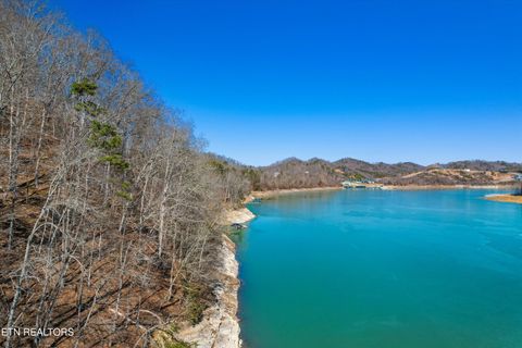 Tiny photo for 34 Mountain Shores Drive, New Tazewell, TN 37825 (MLS # 1329106)