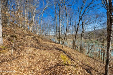 Tiny photo for 34 Mountain Shores Drive, New Tazewell, TN 37825 (MLS # 1329106)