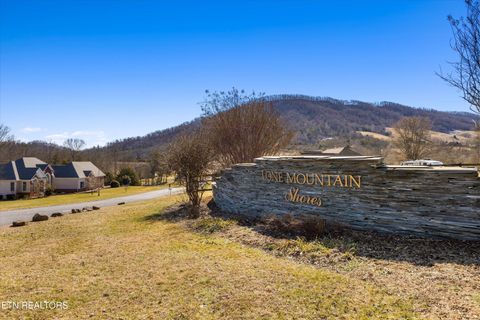 Tiny photo for 34 Mountain Shores Drive, New Tazewell, TN 37825 (MLS # 1329106)
