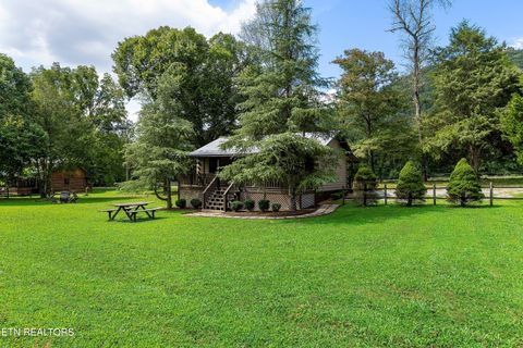 339 Stables Drive Townsend TN 37882