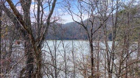 Tiny photo for 9136 Solway Ferry Rd, Oak Ridge, TN 37830 (MLS # 1327957)
