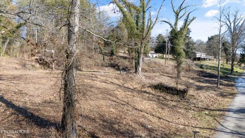Tiny photo for 9136 Solway Ferry Rd, Oak Ridge, TN 37830 (MLS # 1327957)