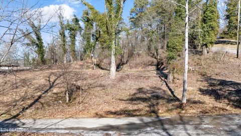Tiny photo for 9136 Solway Ferry Rd, Oak Ridge, TN 37830 (MLS # 1327957)