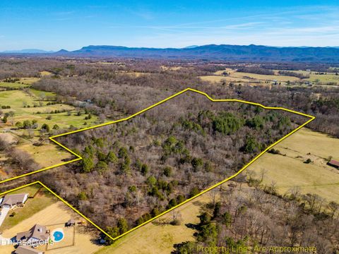 Tiny photo for 4672 N Wildwood Rd, Maryville, TN 37804 (MLS # 1330317)