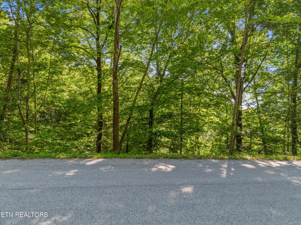 Photo of 156 Garfield Lane, Sharps Chapel, TN 37866 (MLS # 1341263)