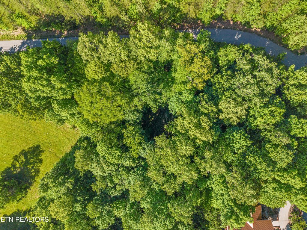 Photo of 156 Garfield Lane, Sharps Chapel, TN 37866 (MLS # 1341263)