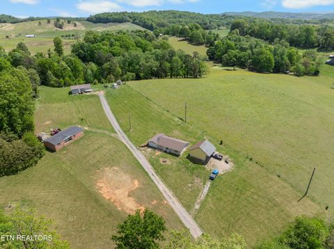 Tiny photo for 246 Cabbage Rd, Blaine, TN 37709 (MLS # 1337749)