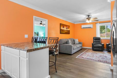 Tiny photo for 246 Cabbage Rd, Blaine, TN 37709 (MLS # 1337749)