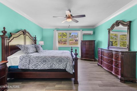 Tiny photo for 246 Cabbage Rd, Blaine, TN 37709 (MLS # 1337749)