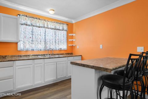 Tiny photo for 246 Cabbage Rd, Blaine, TN 37709 (MLS # 1337749)