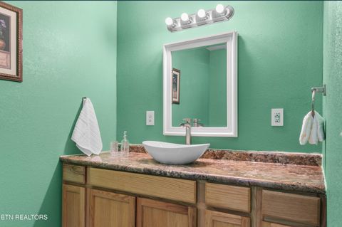 Tiny photo for 246 Cabbage Rd, Blaine, TN 37709 (MLS # 1337749)