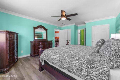 Tiny photo for 246 Cabbage Rd, Blaine, TN 37709 (MLS # 1337749)