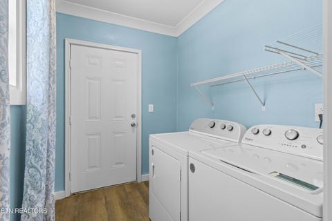 Tiny photo for 246 Cabbage Rd, Blaine, TN 37709 (MLS # 1337749)