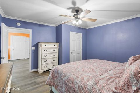 Tiny photo for 246 Cabbage Rd, Blaine, TN 37709 (MLS # 1337749)