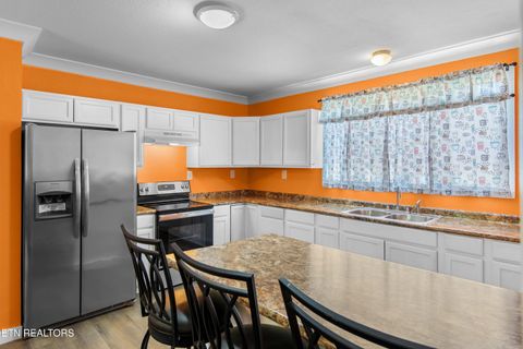 Tiny photo for 246 Cabbage Rd, Blaine, TN 37709 (MLS # 1337749)