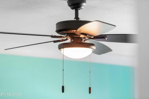 Tiny photo for 246 Cabbage Rd, Blaine, TN 37709 (MLS # 1337749)