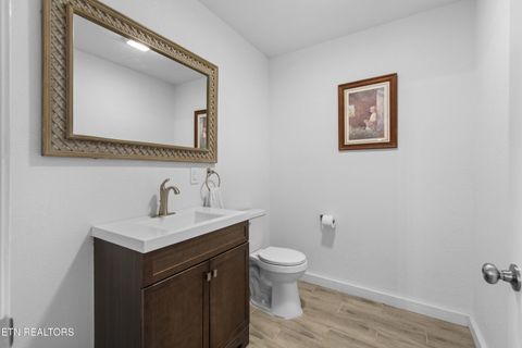 Tiny photo for 246 Cabbage Rd, Blaine, TN 37709 (MLS # 1337749)