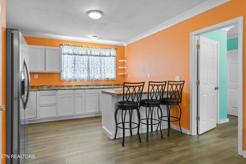 Tiny photo for 246 Cabbage Rd, Blaine, TN 37709 (MLS # 1337749)