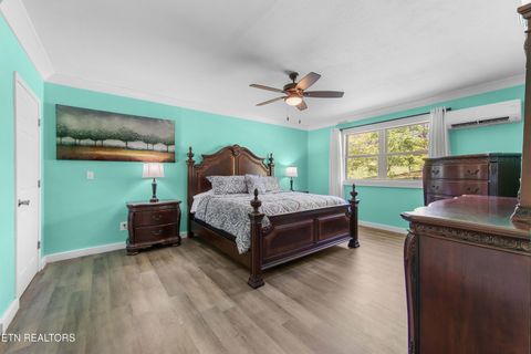 Tiny photo for 246 Cabbage Rd, Blaine, TN 37709 (MLS # 1337749)