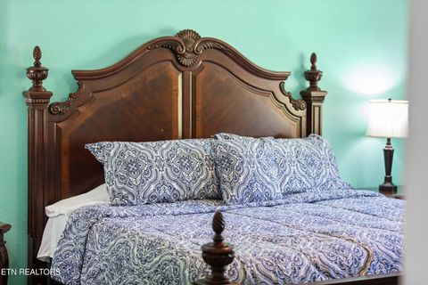 Tiny photo for 246 Cabbage Rd, Blaine, TN 37709 (MLS # 1337749)