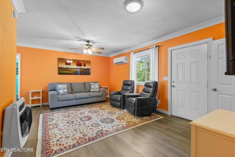 Tiny photo for 246 Cabbage Rd, Blaine, TN 37709 (MLS # 1337749)