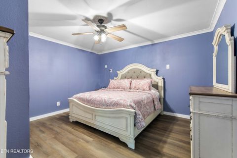 Tiny photo for 246 Cabbage Rd, Blaine, TN 37709 (MLS # 1337749)