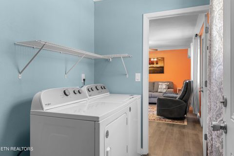 Tiny photo for 246 Cabbage Rd, Blaine, TN 37709 (MLS # 1337749)