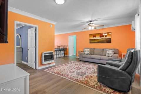 Tiny photo for 246 Cabbage Rd, Blaine, TN 37709 (MLS # 1337749)