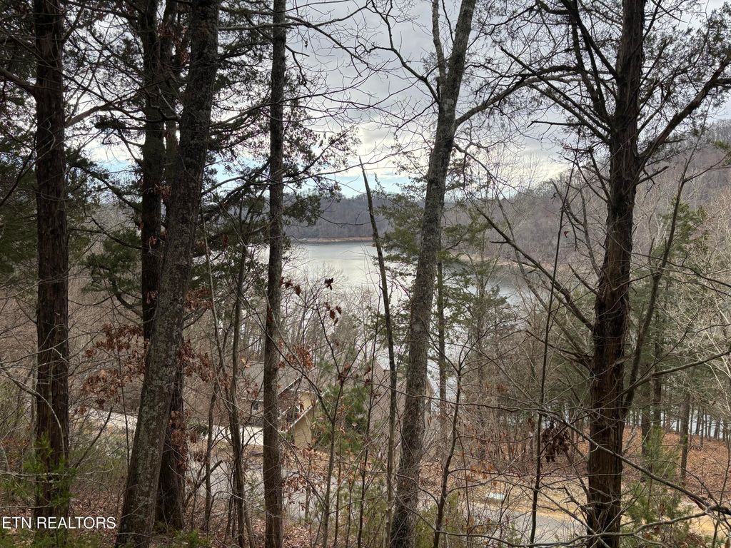 Photo of Russell Brothers Road Rd, Maynardville, TN 37807 (MLS # 1323974)
