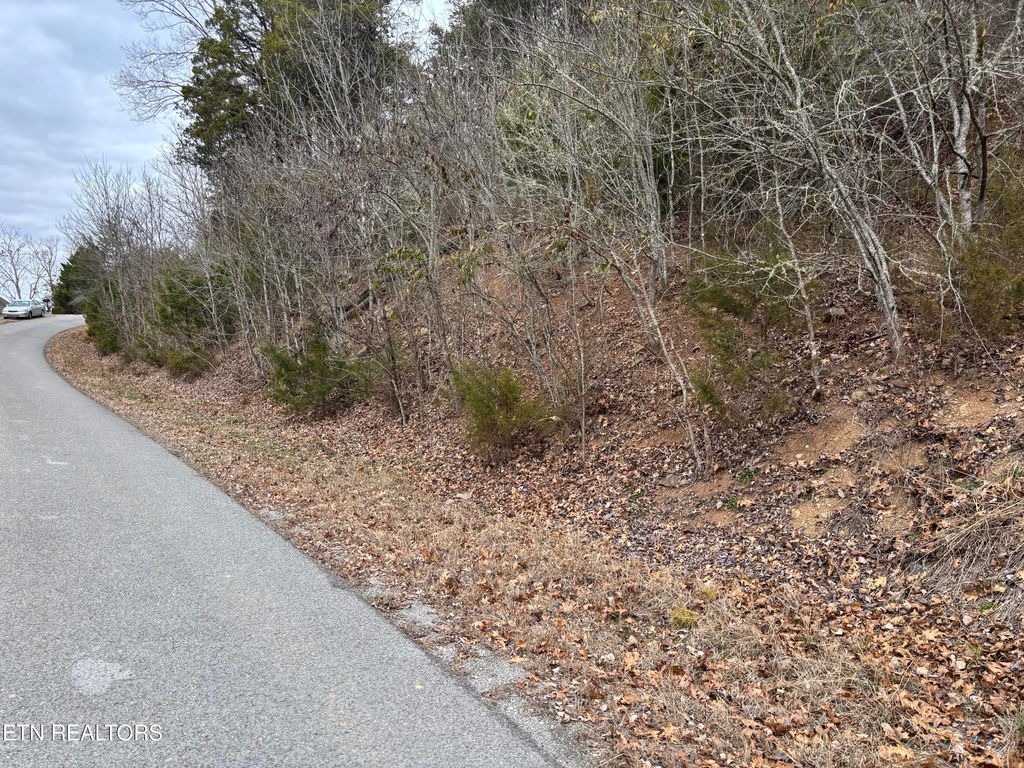 Photo of Russell Brothers Road Rd, Maynardville, TN 37807 (MLS # 1323974)