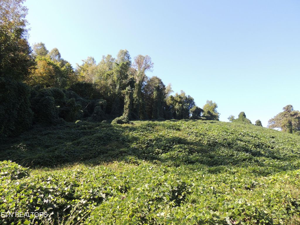 Photo of 8548 Zinc Rd, Knoxville, TN 37938 (MLS # 1342549)
