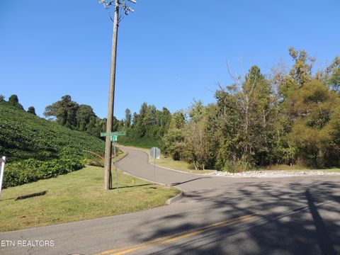 Photo of 8548 Zinc Rd, Knoxville, TN 37938 (MLS # 1342549)