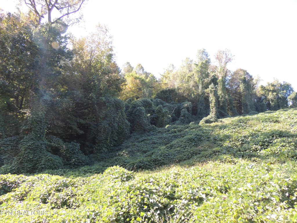 Photo of 8548 Zinc Rd, Knoxville, TN 37938 (MLS # 1342549)