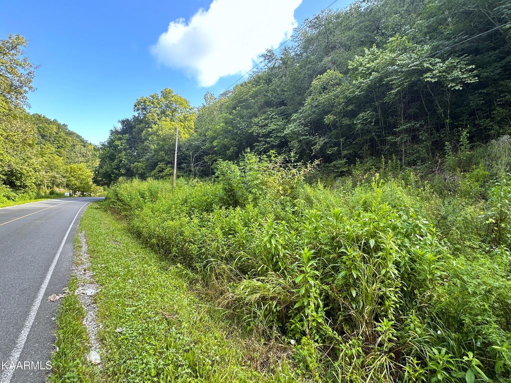 Photo of 2128 Holt Town Rd, Newport, TN 37821 (MLS # 1236936)