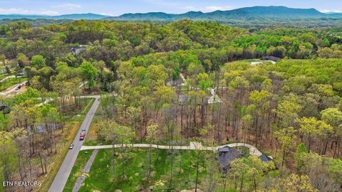 Tiny photo for Peaceful Point, Dandridge, TN 37725 (MLS # 1337682)