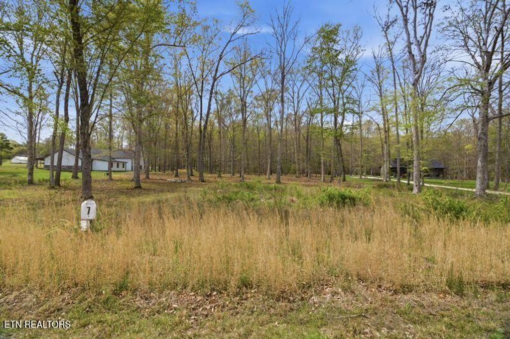 Photo of Peaceful Point, Dandridge, TN 37725 (MLS # 1337682)