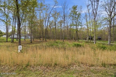 Tiny photo for Peaceful Point, Dandridge, TN 37725 (MLS # 1337682)